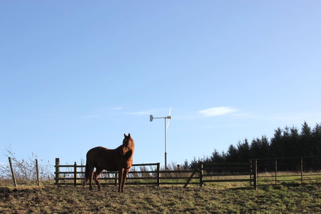 Your only neigh-bours at Wilderkin are the local horses.