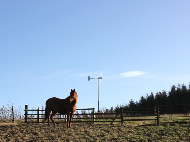 Your only neigh-bours at Wilderkin are the local horses.