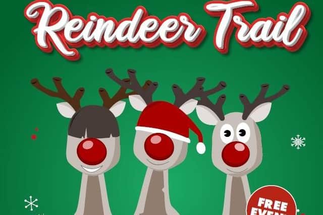 Reindeer Trail