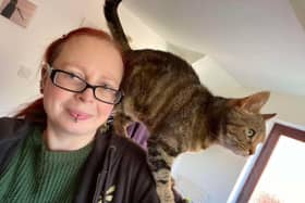 Cat expert Katie Gwilt is issuing this urgent advice to owners - Animal News Agency
