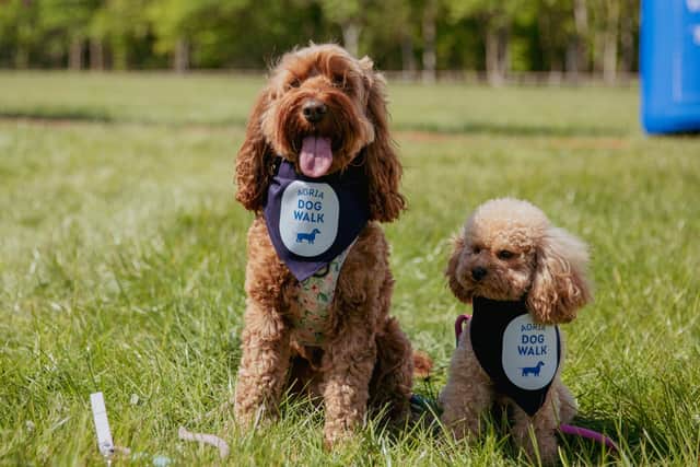 Join the pack and support the Agria Dog Walk.