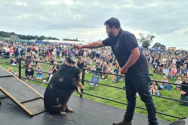 The peak of the summer is coming with The New Bury Summer Festival!
