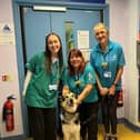 Therapy dog Riley with his owner and staff members