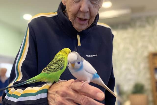 Linda West is living with dementia. The budgies brought back happy memories from her childhood.
