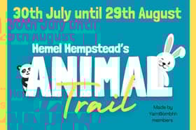 Animal Trail