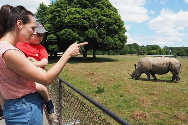 Whipsnade Zoo is the perfect day out this May Half Term.