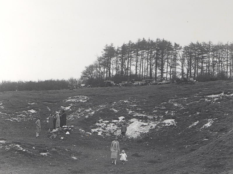 Whipsnade, pictured on the whit Monday after it was bought