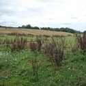 Some of the land saved from development