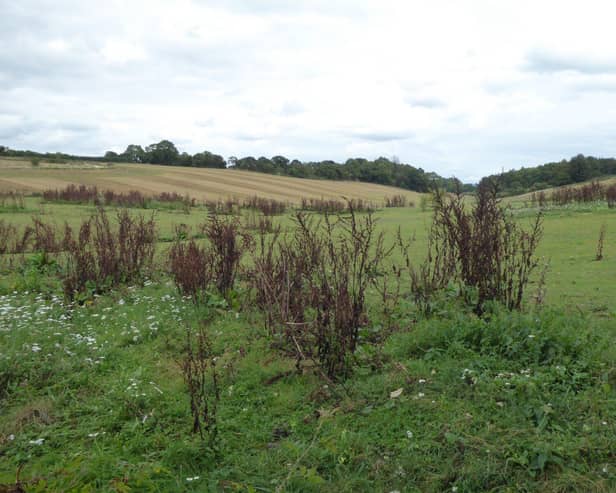 Some of the land saved from development