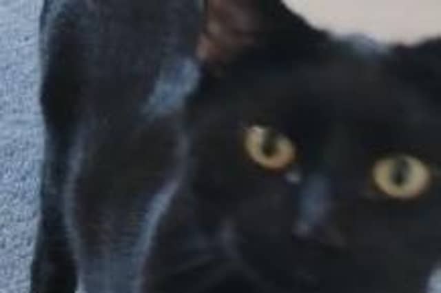 Spyro