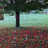 School field with the poppies