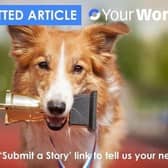 Use the 'Submit a Story' link to tell us your news.