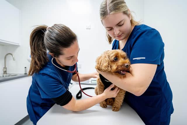 Attimore Veterinary Centre Welwyn Garden City