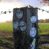 Pictured: Footpath sign