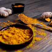 Turmeric could help your dog live longer - Animal News Agency 