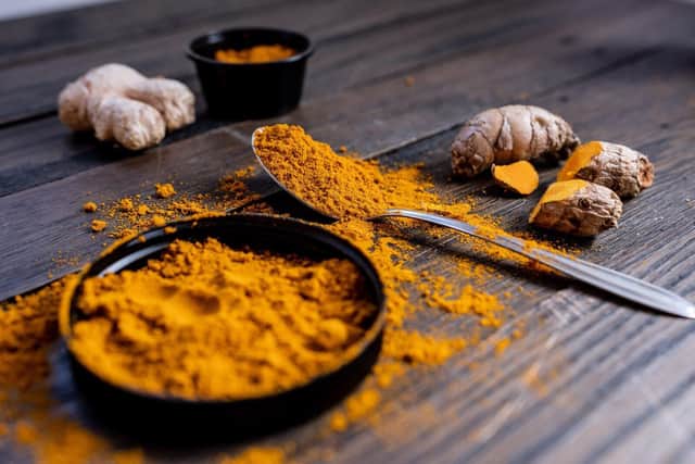 Turmeric could help your dog live longer - Animal News Agency 