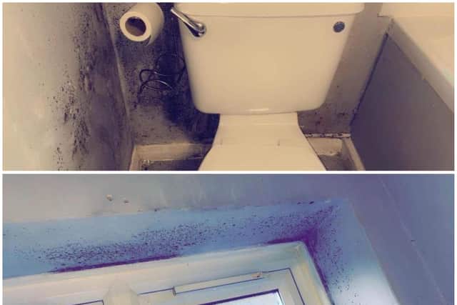 The woman says that the mould is in every room of the council-owned house.