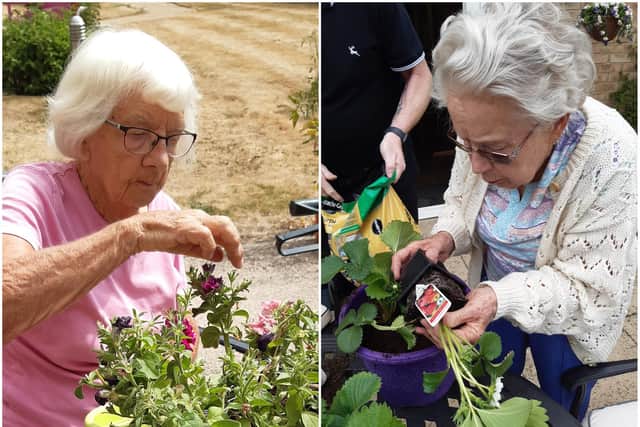 Pictured: Hilda (left) and Shirley tending to their plants
