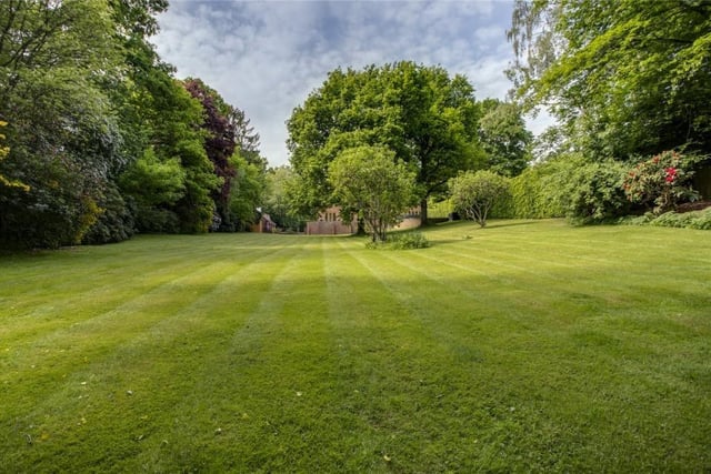 The garden of this property has lovely greenery and grass.