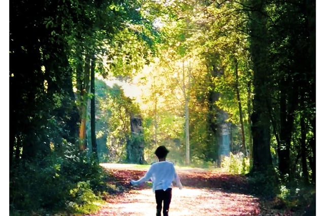 A child walking down a leafy path in Tring Park.
Taken by Gerald Golding.