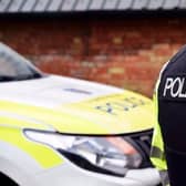 Hertfordshire Constabulary's processing of DBS checks has "improved significantly" according to the force's Chief Constable