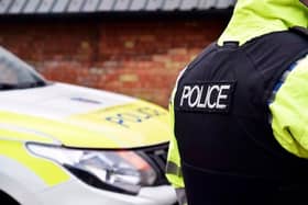 Hertfordshire Constabulary's processing of DBS checks has "improved significantly" according to the force's Chief Constable