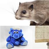 Entries from HALS, Natural History Museum and Dacorum Heritage Trust