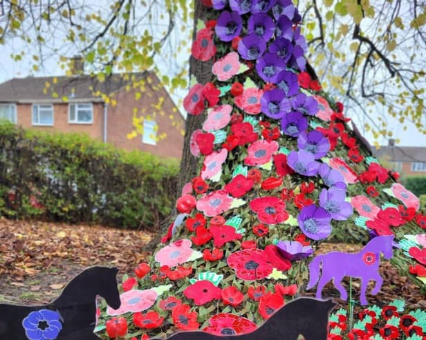 Poppies and War Horses