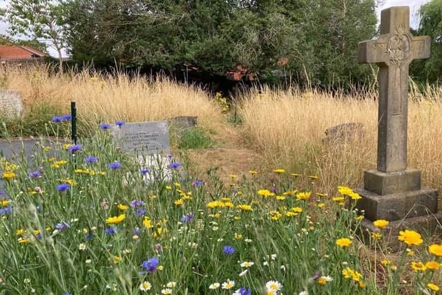 Wildflowers at the Rectory Lane Cemetery