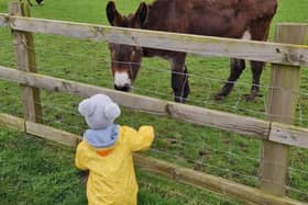 Kids Go Free