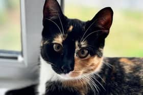 Rehoming