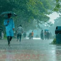 Wet and windy weather set for Hemel Hempstead over next 48 hours