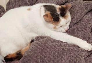 Sookie