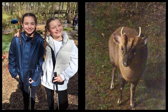 Despite all the new digital innovations, the great outdoors and wildlife, such as the deer pictured, continue to thrill the youngsters, such as Sienna and Farley, most. Photo: National World.