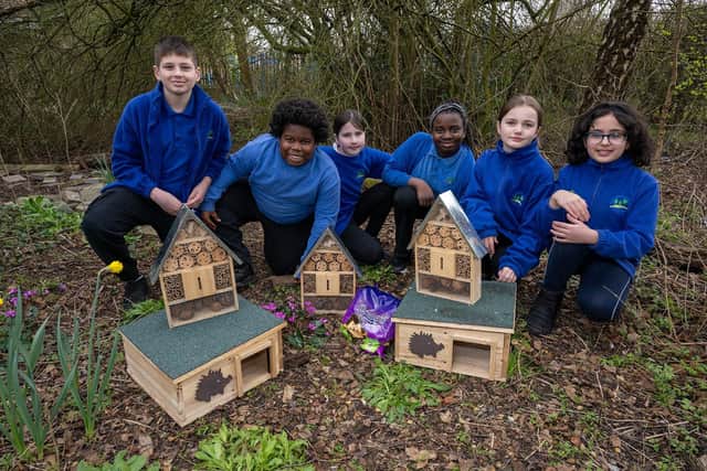 Pupils from Holtsmere End Junior School with the latest additions to their wildlife area.