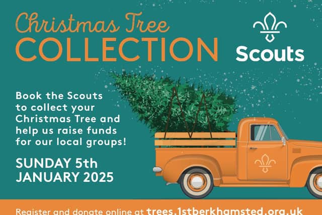 Christmas Tree Collection