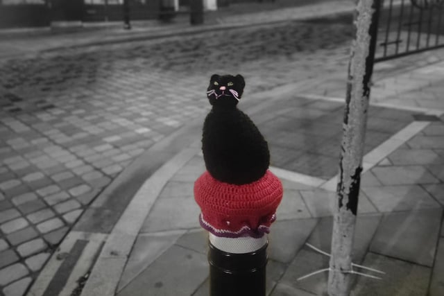 This little black cat is perched on a bollard