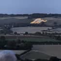 White Lion illuminated