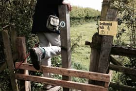 There were three different routes - each well signposted -  in this year's Berkhamsted Walk in aid of The Children's Society