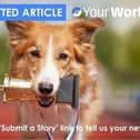 Use the 'Submit a Story' link to tell us your news.