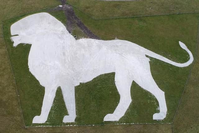 The Whipsnade lion from the air