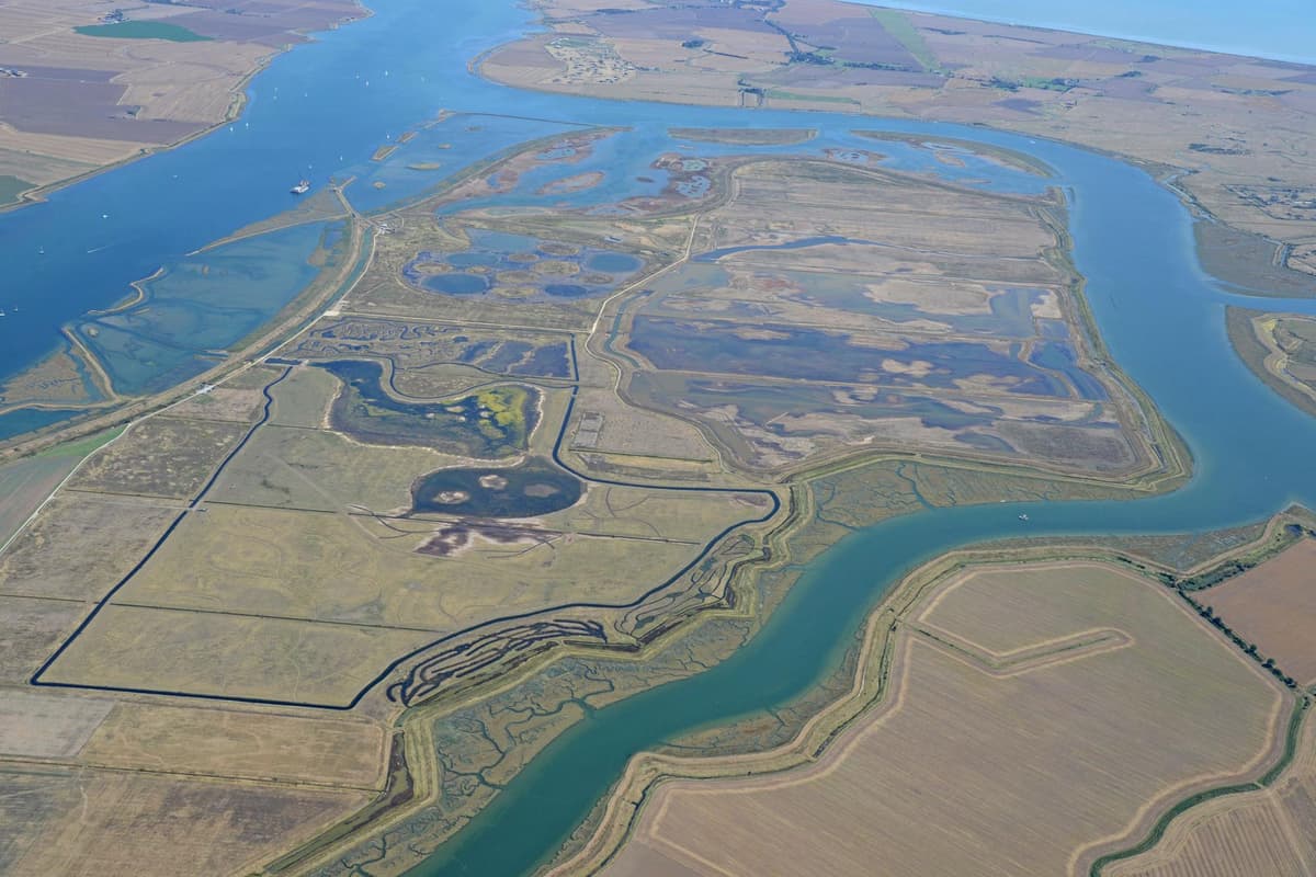 Rachel Fancy Rspb RSPB Hemel Hempstead Local Group – ‘RSPB Wallasea Island’
