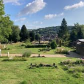 Views of the Rectory Lane Cemetery where wildlife and the community thrive 