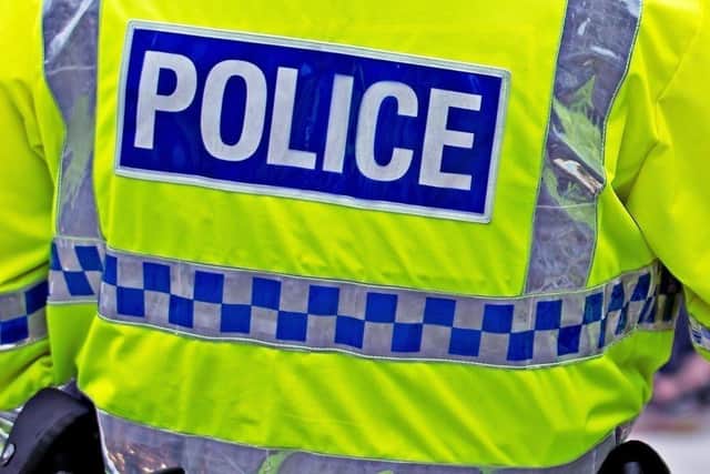 Police seize a dog who attacked a child in Birmingham