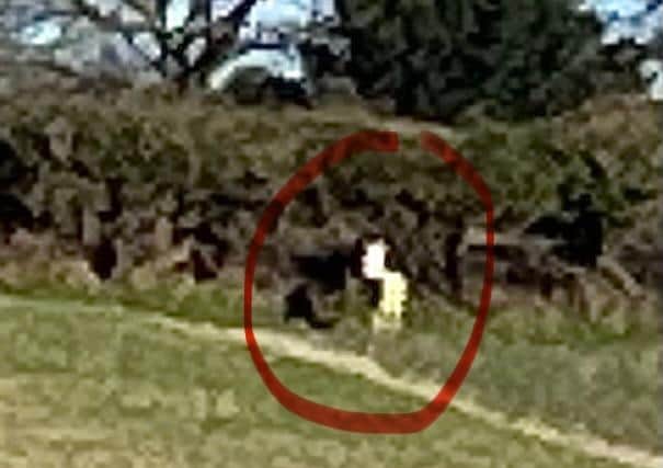 This may be an extremely rare animal roaming Hertfordshire