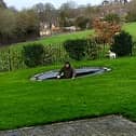 Charlie Bond hits the water after plummeting through the trampoline