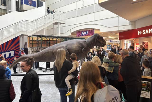 Dino Day