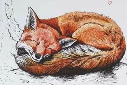 By Carolyn Storey