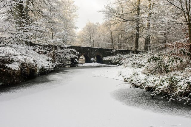 Odds: 4/1. Implied chance of snow on Christmas Day: 20%