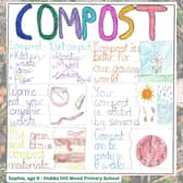 Sophie's winning poster